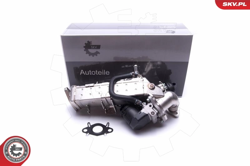 EGR Valve